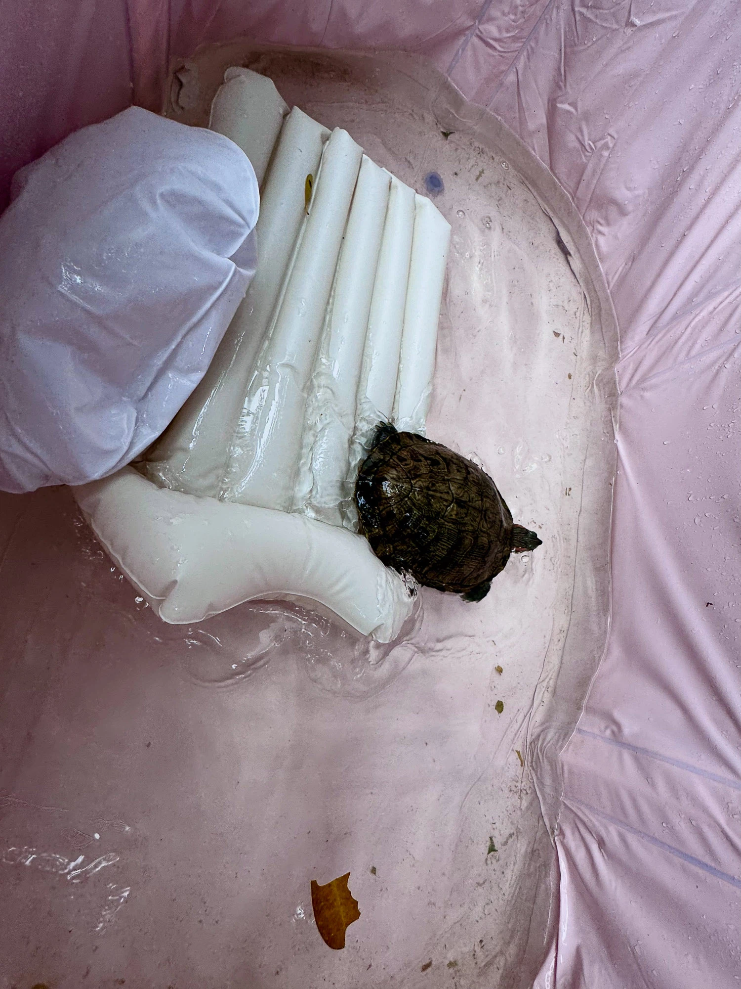 603c89aed613dd68381aa0cd3107342