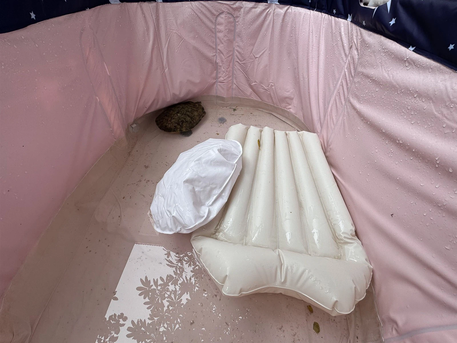 5924180709866a88cb36c72840ba6ff