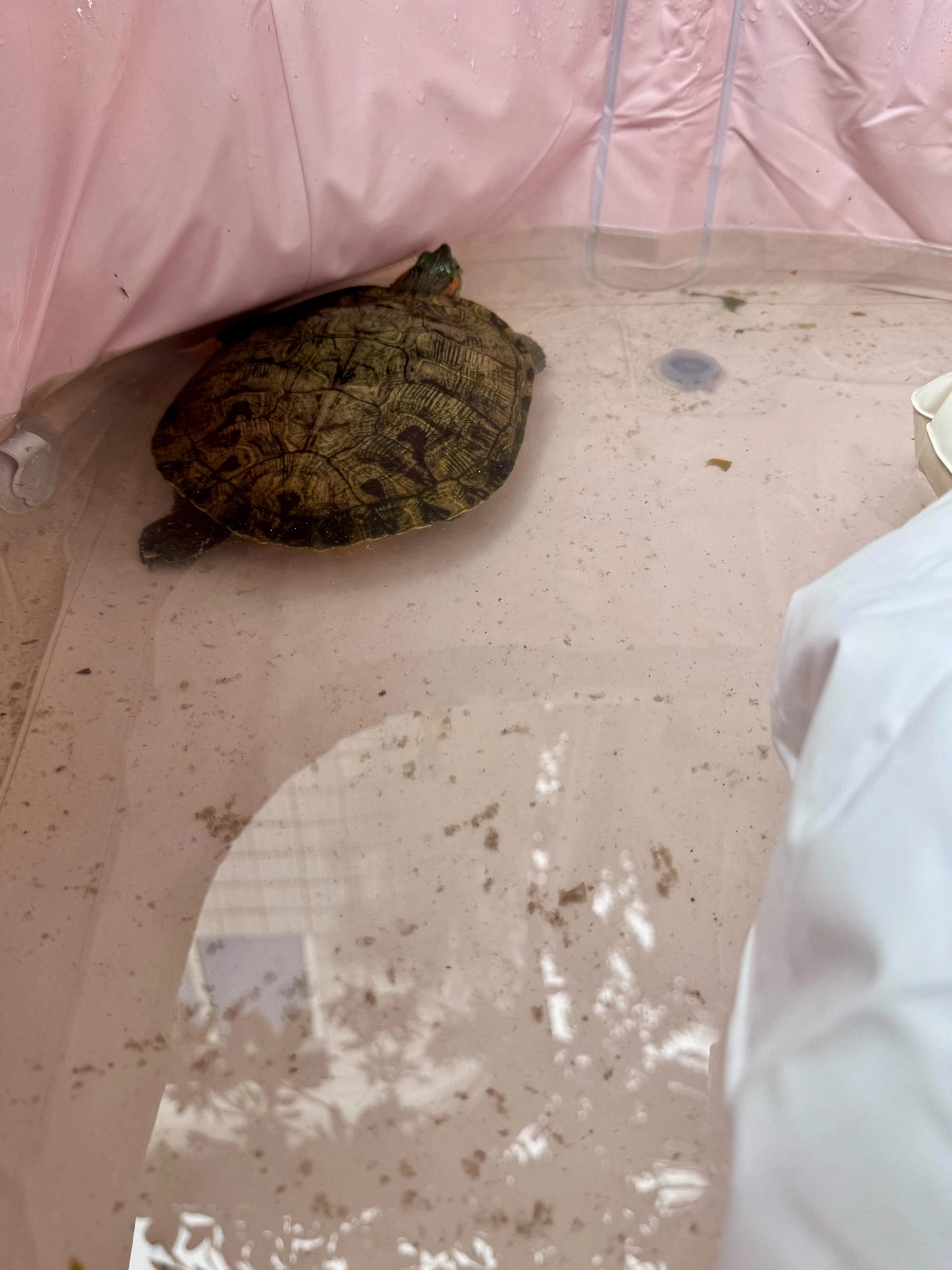 7b7c49fd09719d26804d7df37f61414