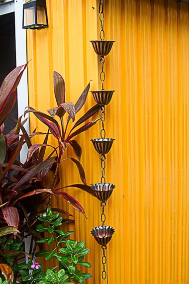 โซ่ฝนดอกบรอนซ์